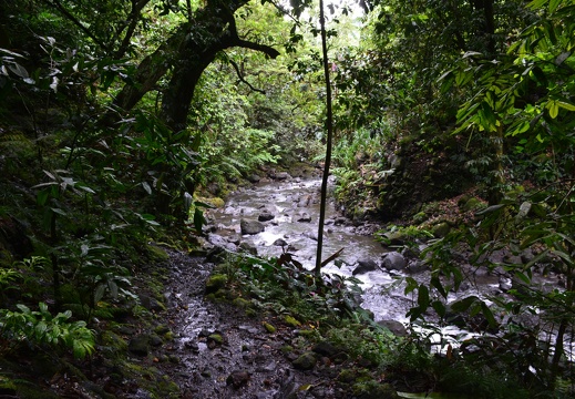 2014-12-26 16-49-08 Tahiti cascades