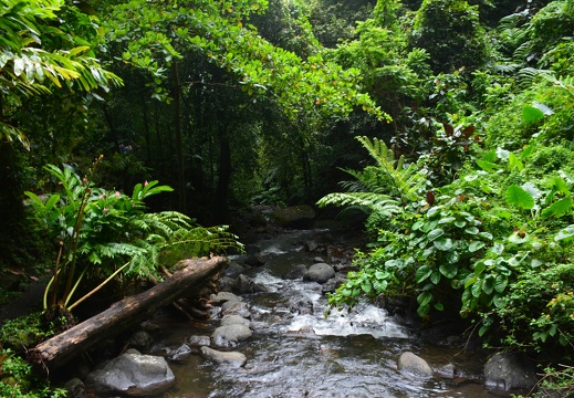 2014-12-26 16-44-58 Tahiti cascades