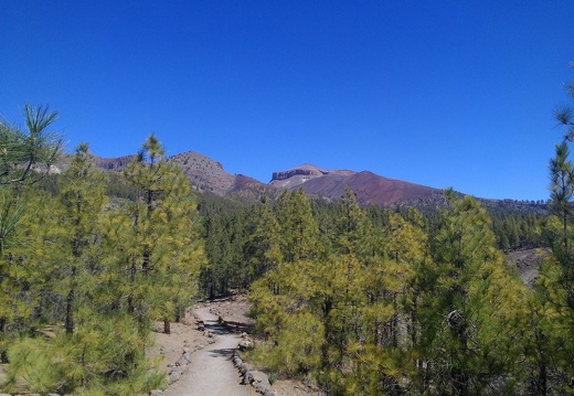 PP Tenerife 2014-03-20 11-19-18