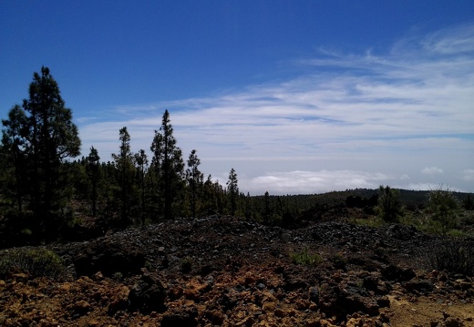 PP Tenerife 2014-03-20 11-54-22