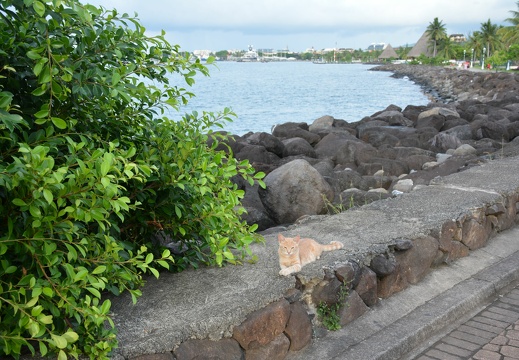 2014-12-15 18-21-10 Tahiti Papeete