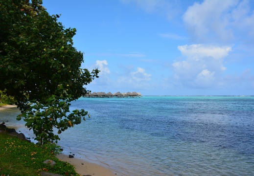 Moorea