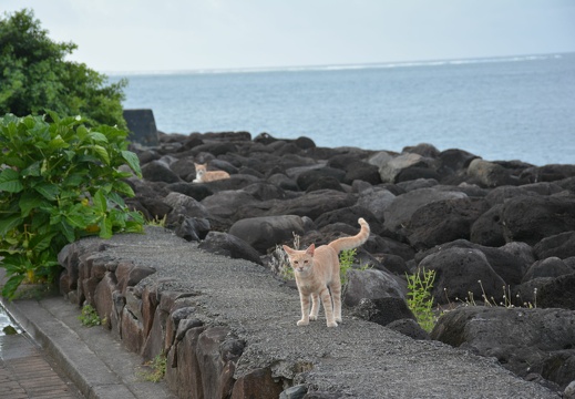 2014-12-15 18-09-28 Tahiti Papeete