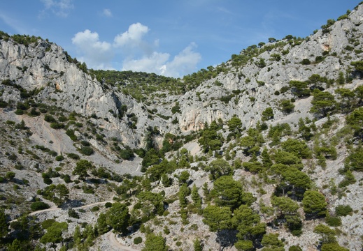 2014-08-19 16-38-51 Sortie Faron