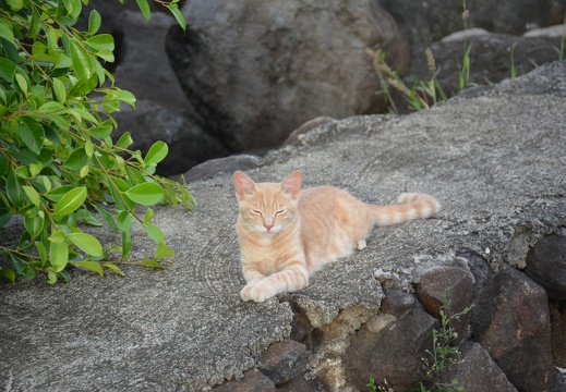 2014-12-15 18-21-02 Tahiti Papeete