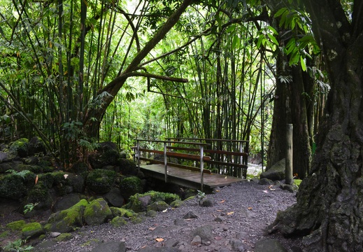 2014-12-26 17-00-24 Tahiti cascades