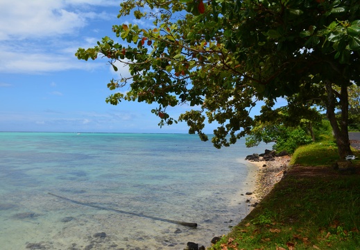 2014-12-27 11-29-50 Tahiti Moorea