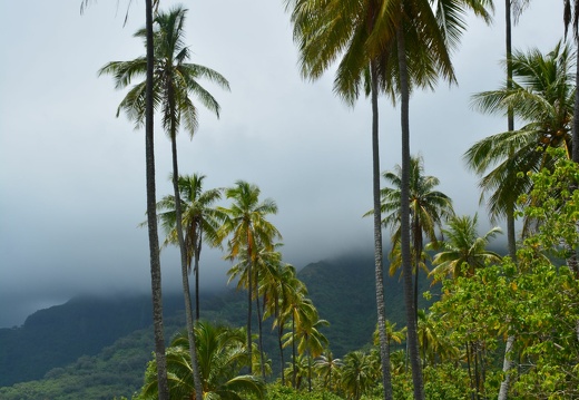 2014-12-27 12-24-42 Tahiti Moorea