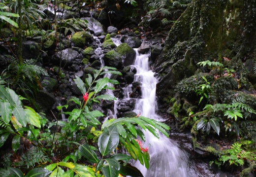 Cascades