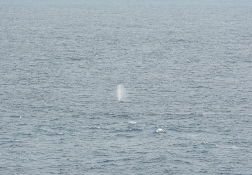 2015-06-07 17-50-32 Mission PourquoiPas