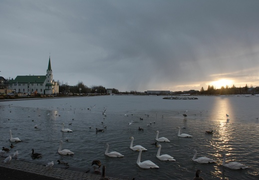 20171115 152959 Islande