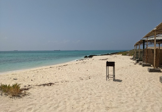 2021-03-03 11-23-04 BBP-LEG1
