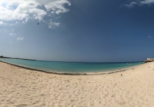 2021-03-03 14-12-47 BBP-LEG1