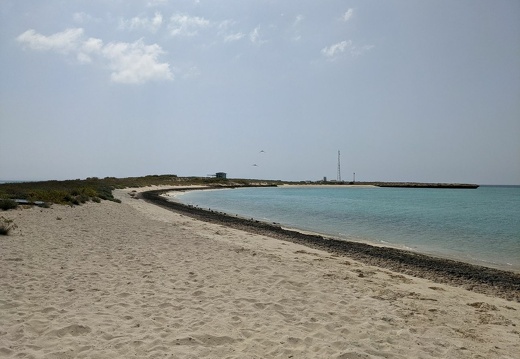 2021-03-03 14-12-48 BBP-LEG1