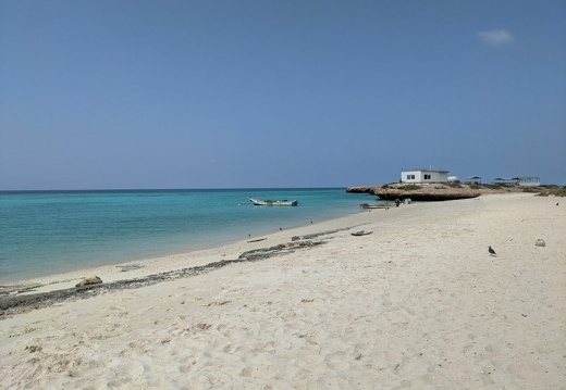 2021-03-03 14-12-52 BBP-LEG1